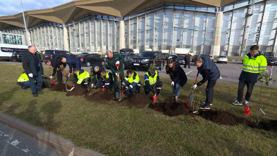 У Пулково высадили аллею в честь героев авиации