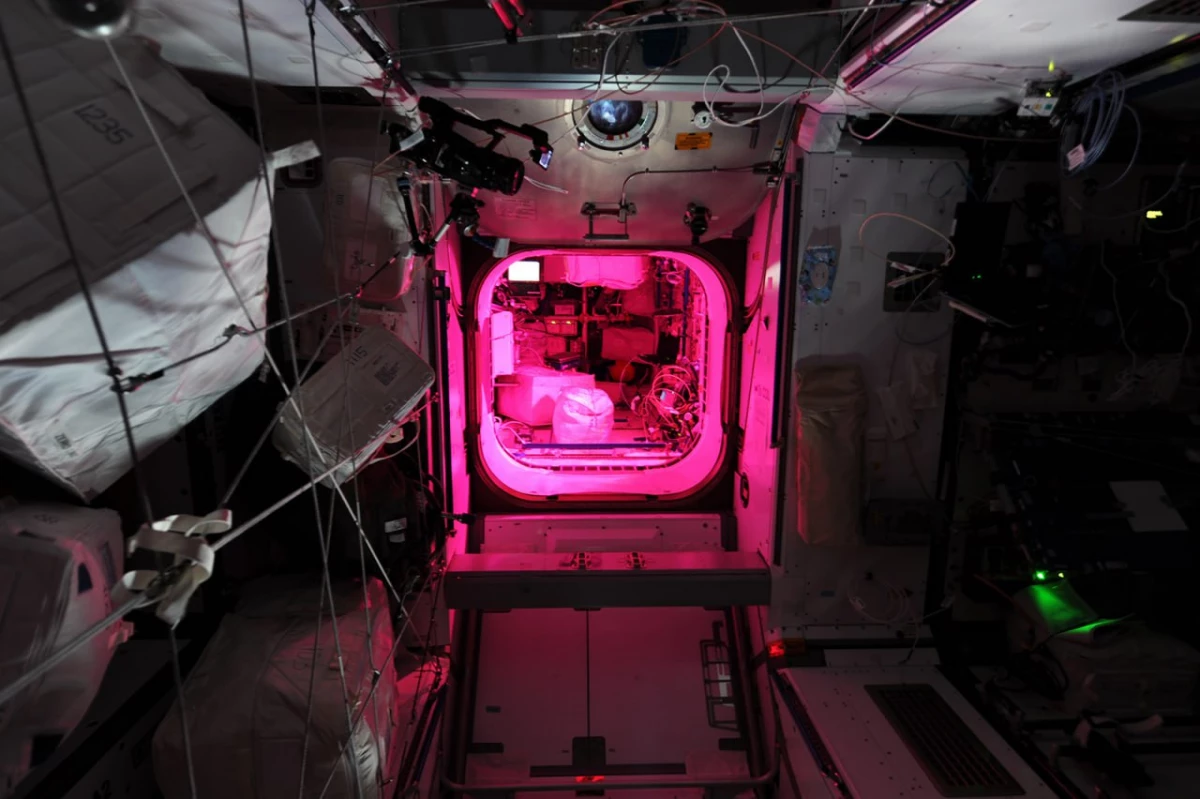 Ночь на МКС: космонавт Олег Артемьев поделился кадрами из космоса - tvspb.ru