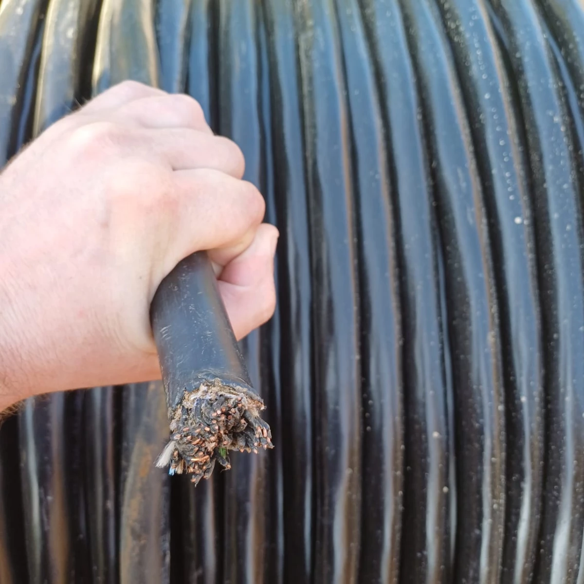 Житель Петербурга задержан за хищение кабеля на 365 тыс. рублей в Ленобласти - tvspb.ru