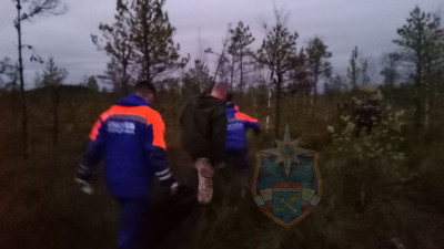 В лесу Лужского района обнаружили тело мужчины