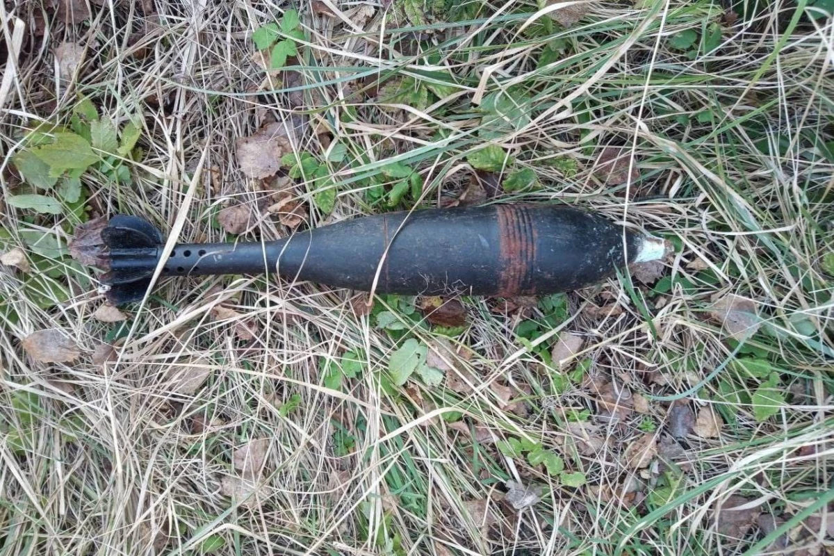 В Лужском районе Ленобласти росгвардейцы изъяли учебную минометную мину - tvspb.ru