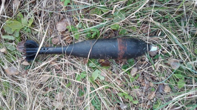 В Лужском районе Ленобласти росгвардейцы изъяли учебную минометную мину