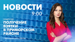 Новости Петербурга к 9:00