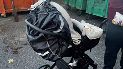 В Петербурге у мусорных контейнеров обнаружен младенец в коляске — возбуждено уголовное дело