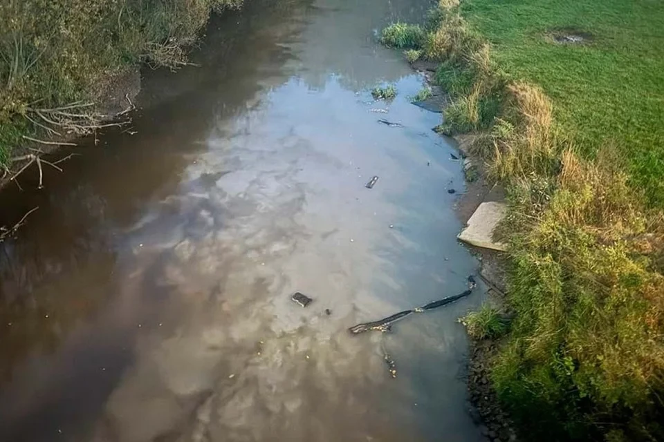 Жители Мурино жалуются в Росприроднадзор на загрязнение реки Охты - tvspb.ru