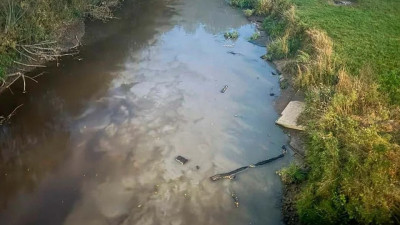 Жители Мурино жалуются в Росприроднадзор на загрязнение реки Охты