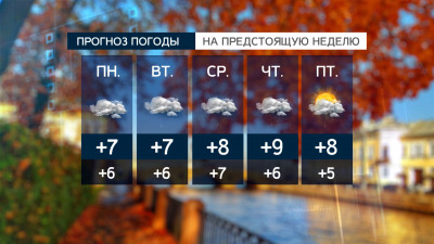 В Петербурге ожидается прохладная и пасмурная неделя с дождями