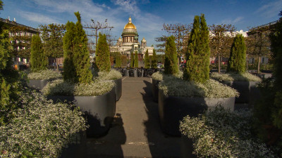 Сад-трансформер у Мариинского дворца разберут до конца недели