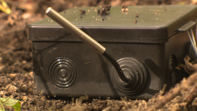 В ЛЭТИ разработали систему экологического мониторинга на биоэлектричестве