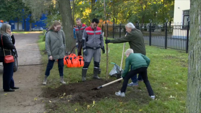 Каштаны, ивы и ели: петербуржцы высадили более сотни деревьев в Сампсониевском саду