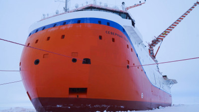 Ученые ответили, почему косолапых так привлекает станция «Северный полюс-42»