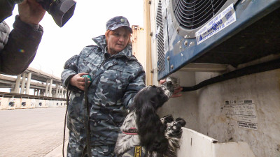 Сотрудники Балтийской таможни поделились секретами службы