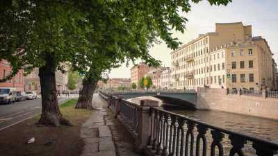 Петербургские ученые создадут тополя без пуха с помощью генного редактирования