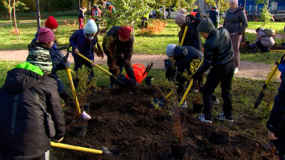 Экологические квесты, командные игры: как пройдет «Добрый субботник» 25 октября в Петербурге