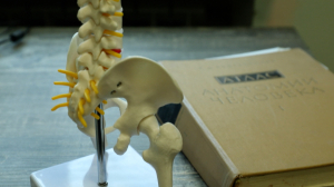 Наступила осень — заболела спина. Всегда ли это связано с тем, что её продуло и как предупредить такой недуг?