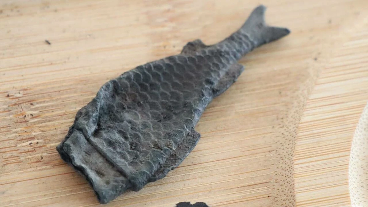 Археологи показали чехольчик в форме рыбки и колесо из шведского города Ниена - tvspb.ru