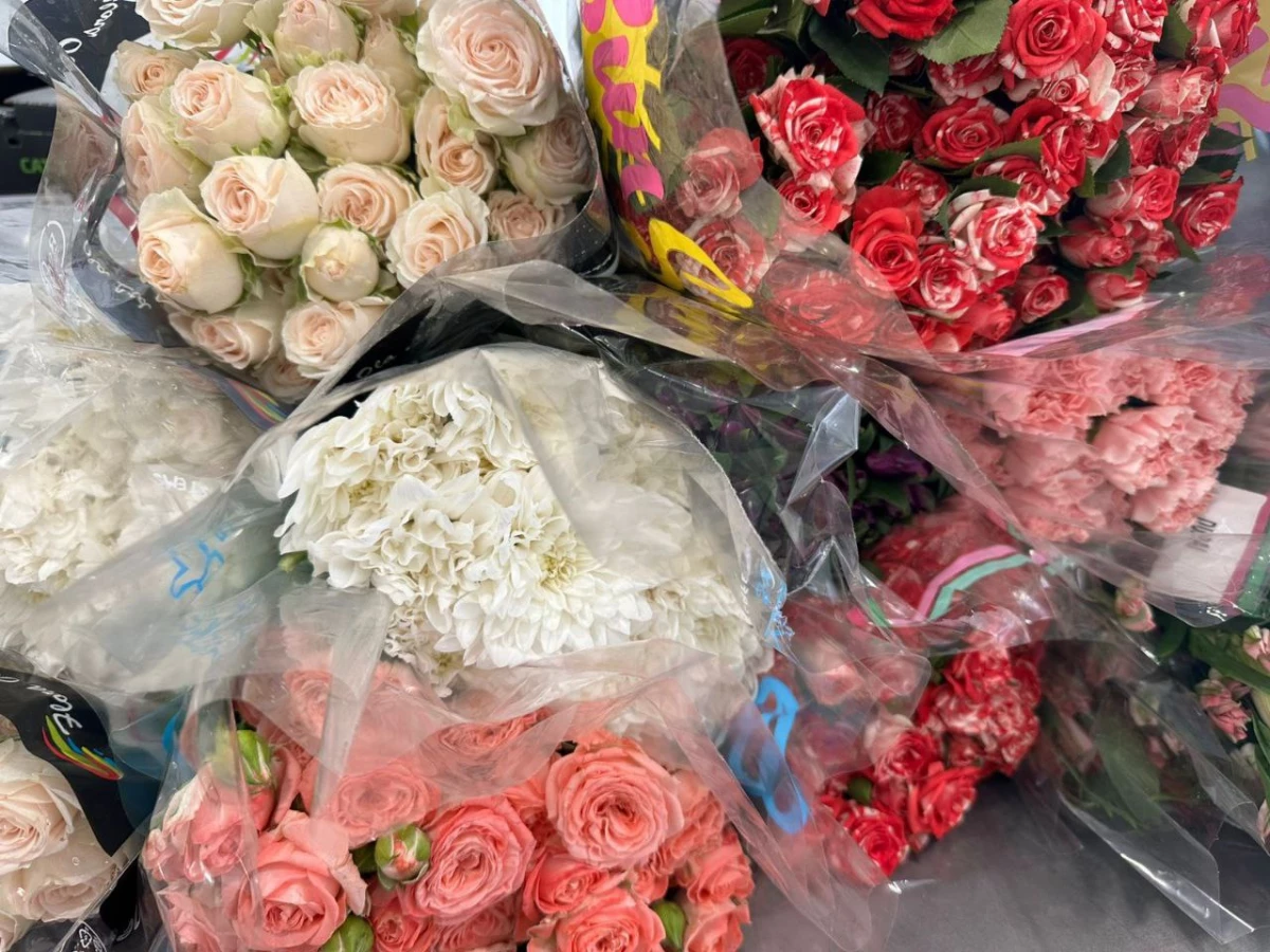 Цветы с «сюрпризом»: как трипс и белокрылка не попали в петербургские букеты - tvspb.ru