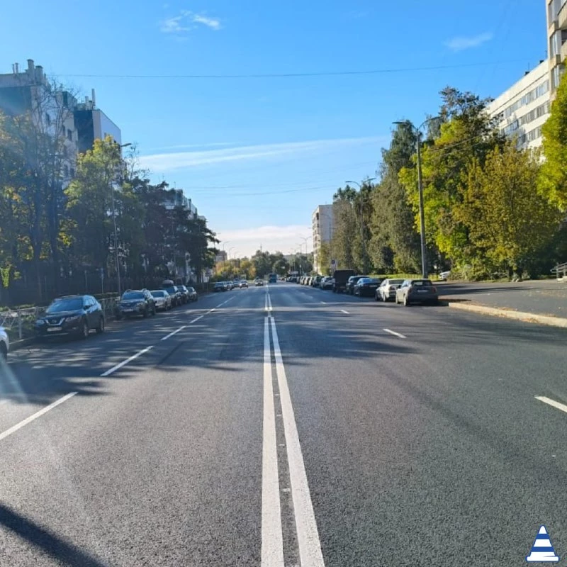 На улице Демьяна Бедного обновили более 50 тыс. кв. м асфальта - tvspb.ru