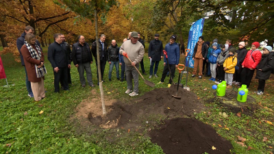 В ЦПКиО имени Кирова в честь Всероссийского дня самбо посадили дуб