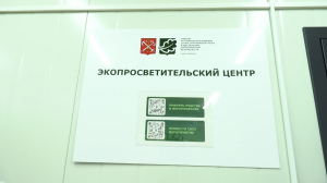 Спасти бобра и не только: куда и сколько принести макулатуры, чтобы получить в ответ луковицы тюльпанов