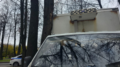 Заехал на газон и врезался в дерево: пьяного автоугонщика задержали после ДТП в Колпино