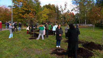 В Калининском районе появилась Аллея педагогов