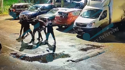 Появилось видео массовой драки на Васильевском острове