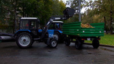 Петербург продолжает готовиться к зиме вместе с горожанами