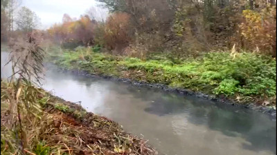 Инспекторы Росприроднадзора нашли источник загрязнения реки Охты