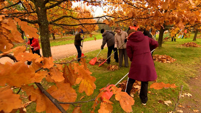 Александр Беглов: Общегородской осенний субботник объединил более 170 тысяч петербуржцев всех возрастов и профессий