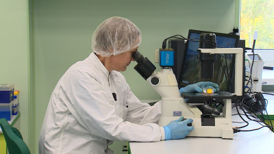 Петербургские ученые создали инновационный гель, который позволит выращивать ткани для трансплантации