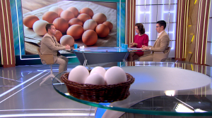 Магазинные или фермерские? Как выбрать качественные куриные яйца