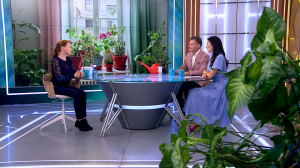 Листопад на подоконнике: как поддержать комнатные растения в октябре при сложном переходе к зиме