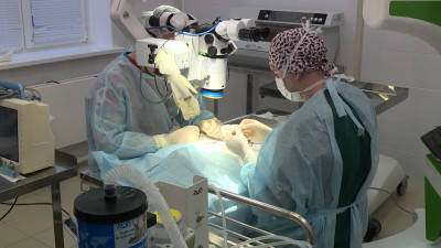 Ученые Центра имени Турнера испытывают первый отечественный раствор для сохранения донорских органов