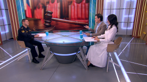 Не только долги: от звукоизоляции в скандальной квартире до возвращения кота священнику — возможности и обязанности служебных приставов