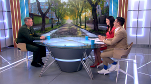 Спасение для аллергиков. Петербургские учёные придумали, как избавиться от тополиного пуха