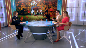 Как подготовить загородный дом к безопасной зимовке