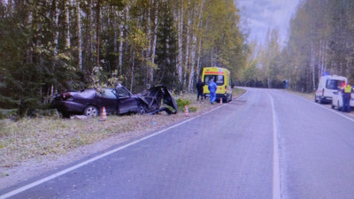 В Ленобласти нетрезвый водитель улетел в кювет и наехал на дерево — погиб пассажир