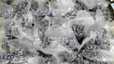 Житель Петербурга получил восемь лет колонии за попытку сбыта более 88 кг наркотиков