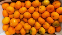 Роспотребнадзор рассказал, как выбрать мандарины к Новому году