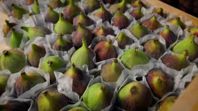 Как выбрать вкусный и полезный инжир