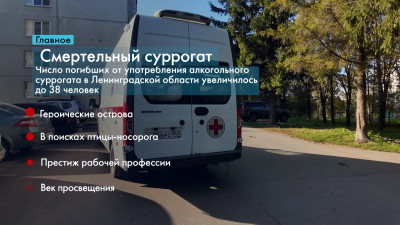 Новости Петербурга: Итоги недели