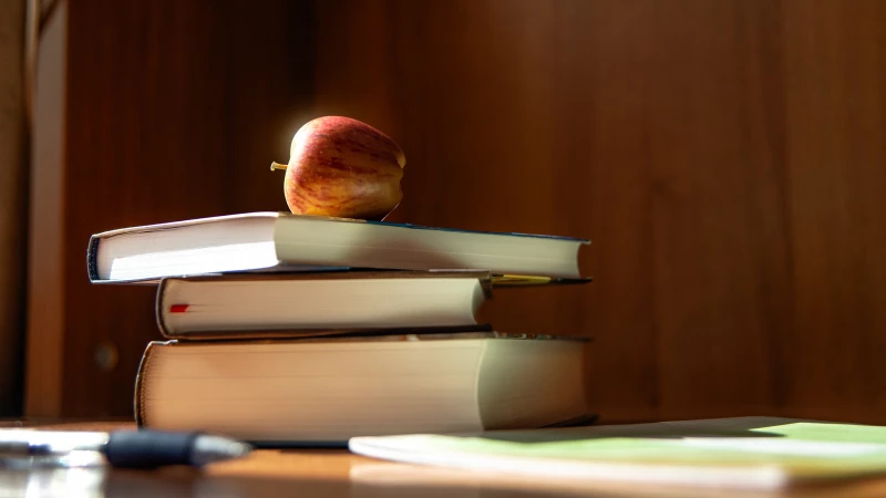 Профессионализм и терпение: петербуржцы перечислили качества идеального учителя - tvspb.ru