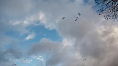 Холодно, но без осадков: жителям Ленобласти рассказали о погоде 18 октября