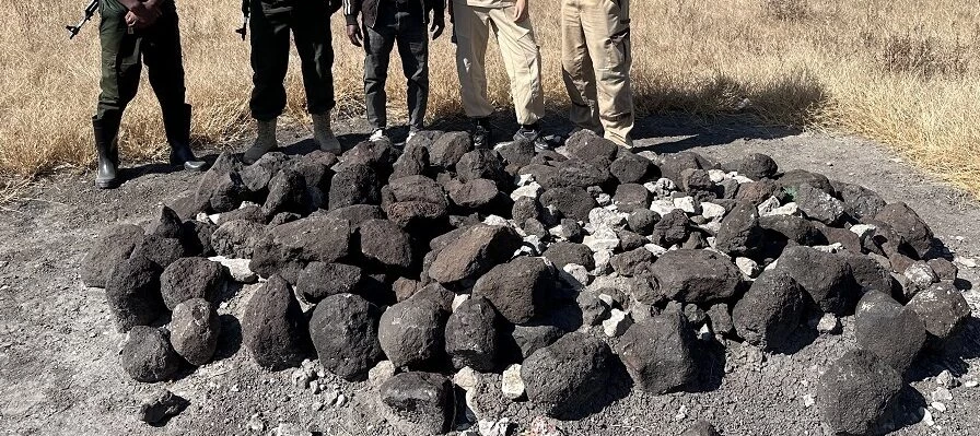 Ученые СПбГУ раскрыли происхождение пород, сохранивших следы древнейших предков человека - tvspb.ru