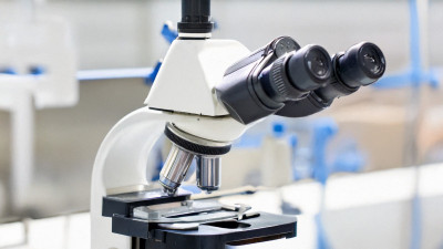 Роспотребнадзор опроверг информацию о вспышках вируса Коксаки в России