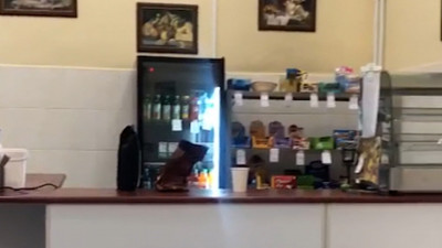 В столовой петербургского колледжа, где отравились семь человек, нашли нарушения