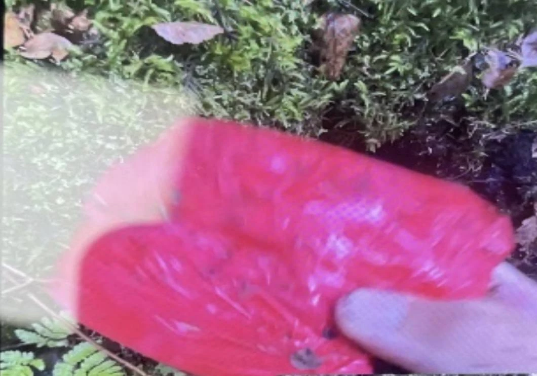 В Ленобласти задержали петербурженку с крупной партией наркотиков - tvspb.ru