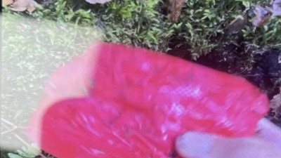 В Ленобласти задержали петербурженку с крупной партией наркотиков