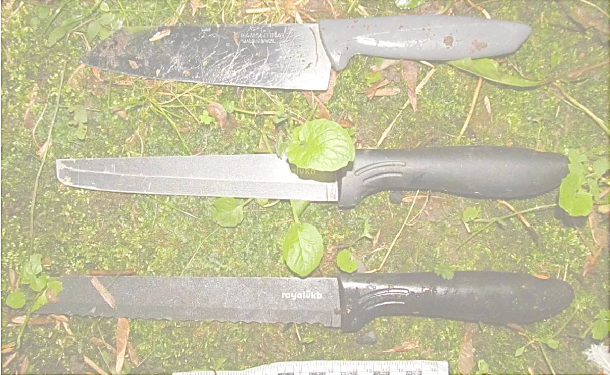 В Петербурге двое приезжих жестоко убили знакомую, нанеся ей 581 удар тремя ножами – дело передали в суд   - tvspb.ru